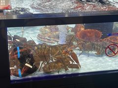 -物美大卖场(玉蜓桥店)