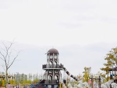 -上海长兴岛郊野公园