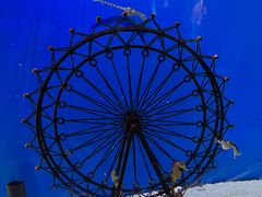 -海合安武汉极地海洋公园