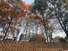 -T80科技文化国际社区-停车场