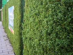 -东方之珠洗浴休闲广场(和平店)