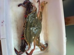 -渔民船说·北塘海鲜·天津菜·海肠捞饭(北塘古镇店)