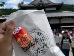 -有栖山 清光院 清水寺