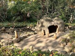 -上海野生动物园