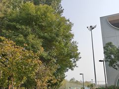 -回龙观体育文化公园