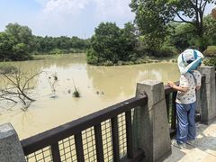 -中国扬子鳄村