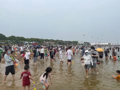 -碧海金沙