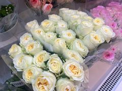 -天虹购物中心(深圳龙华店)