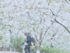 -南山植物园