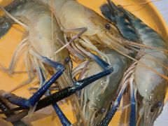 -海底捞大排档火锅(打浦路店)