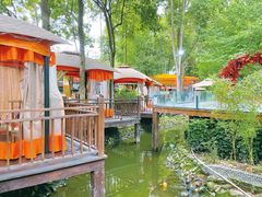 -二荆条·蜀鲜汇城市森林火锅