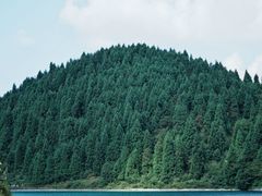 -武陵山森林公园