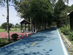 -夏河溪乡野公园