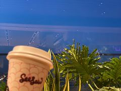 -Seesaw Coffee(朝阳大悦城店)