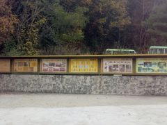 -青峰峡国家森林公园