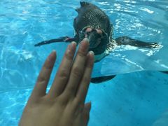 -广东省拱北口岸中国旅行社(华宾营业部)