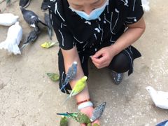 -呀路古热带植物园