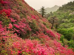 -木兰云雾山