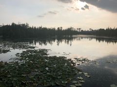 -白鹭湾湿地公园