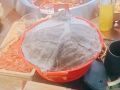 -辣伍鲜毛肚老火锅(元一店)