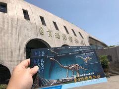 -自贡恐龙博物馆