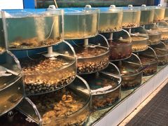 -同道蒸汽海鲜烧烤自助(刘庄夜市店)