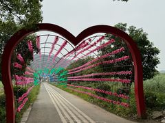 -苏州太湖西山岛开心农场