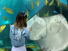 -福州罗源湾海洋世界旅游区