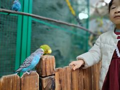 -杭州开元森泊度假乐园