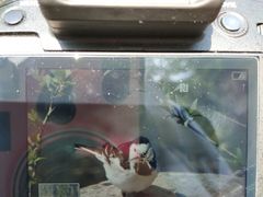 -碓臼峪自然风景区