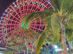 -田大厨海鲜超市(万豪店)