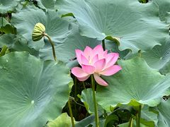 -成都杜甫草堂博物馆