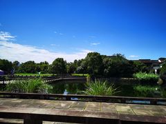 -西溪国家湿地公园