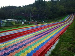 -武陵山森林公园