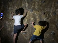 -铁山坪森林公园