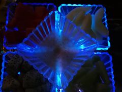 -星汇纯K量贩式KTV(卜蜂中心店)