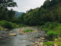 -广州市流溪河国家森林公园