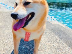 -上海月湖雕塑公园
