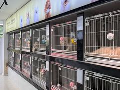 -翊宠yipet猫狗购宠庄园犬舍•猫舍
