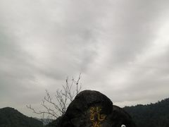 -南山植物园