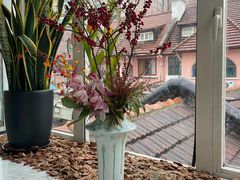 -蝶舍·MAISON PAPILLON