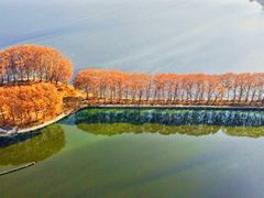 -东湖磨山景区
