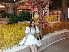 -武汉光谷K11