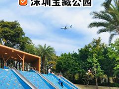 -宝安西湾红树林湿地公园