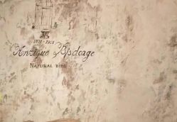 点击看大图 -星豆豆儿童摄影(南郊太白南路店)