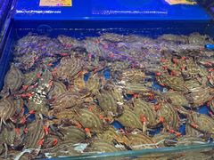 -万宝海鲜舫(劳动公园店)
