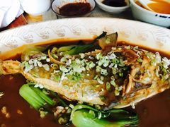 -天正河鲀·河豚亭(大连店)