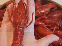 -靓靓蒸虾·头牌蒸虾(沙湖旗舰店)