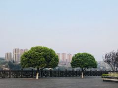 -磁器口古镇