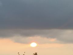 -长虫山生态公园风景林